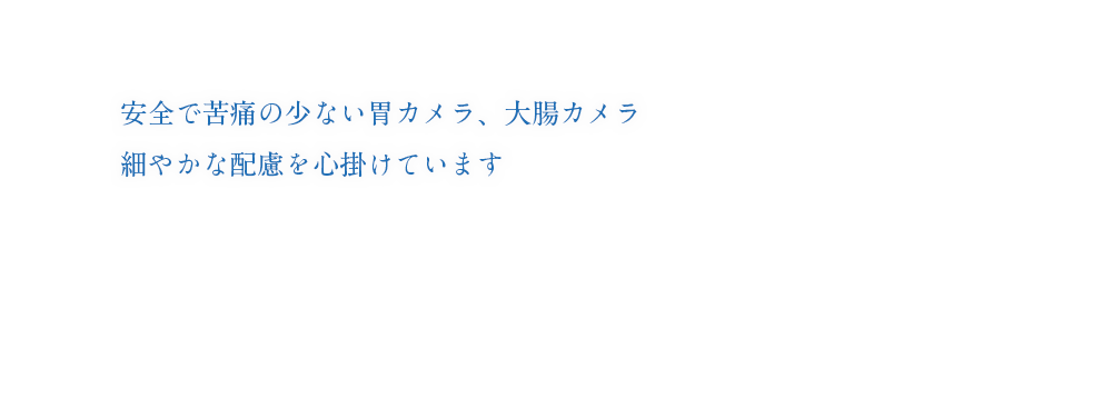 安全で苦痛の少ない胃カメラ、大腸カメラ 細やかな配慮を心掛けています